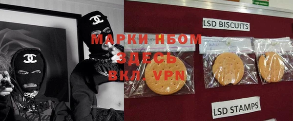 дмт Белокуриха